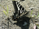 DSCN2635