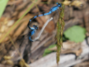 P1240332