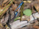 P1240335