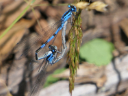P1240338