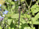 P1240332
