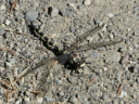 P1290967